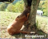 Ολα για τα άλογα