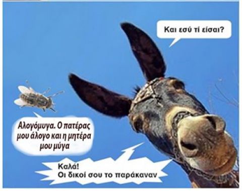 &Alpha;&lambda;ό&gamma;&alpha;&tau;&alpha; &kappa;&alpha;&iota; &alpha;&lambda;&omicron;&gamma;ό&mu;&upsilon;&gamma;&alpha;