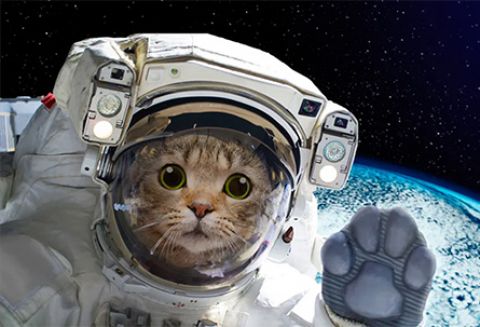 Ό&lambda;&alpha; &gamma;&iota;&alpha; &tau;&omicron; &Phi;&epsilon;&gamma;&gamma;&alpha;&rho;ά&kappa;&iota; (2)