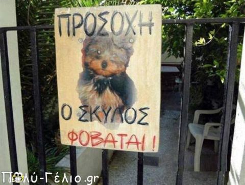 &Eta; &Kappa;&upsilon;&rho;ί&alpha; &Lambda;&iota;&lambda;ή &mu;&epsilon; &tau;&omicron;&nu; &Theta;&epsilon;ό &sigma;&upsilon;&nu;&omicron;&mu;&iota;&lambda;&epsilon;ί