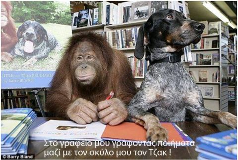 &Gamma;&kappa;&alpha;&sigmaf; &Gamma;&kappa;&alpha;&rho;&theta;ί&alpha; &Sigma;ό&pi;&mu;&epsilon;&tau;