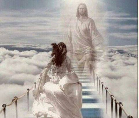 &Sigma;&tau;&omicron;&upsilon; &Pi;&alpha;&rho;ά&delta;&epsilon;&iota;&sigma;&omicron;&upsilon; &tau;&eta;&nu; &pi;ύ&lambda;&eta; !